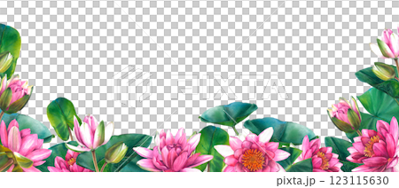 Horizontal banner with beautiful pink lotus flowers, green leaves and buds on isolated background. Hand drawn illustration of water lilies. Bouquet of exotic greenery for spa, zen or wedding design. 123115630