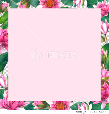 Pink water lily flowers with leaves and buds. Floral square frame with place for text. Hand drawn watercolor illustration of lotus on pink isolated background. Botanical drawing for spa or zen design. Pink water lily flowers with leaves and buds. Floral square frame with place for text. Hand drawn watercolor illustration of lotus on pink isolated background. Botanical drawing for spa or zen design. 123115636