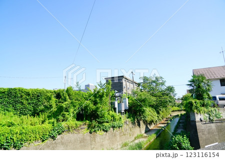 神田川と中野富士見駅周辺の自然 123116154