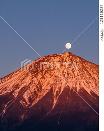 静岡県・パール富士(紅富士) 静岡県・パール富士(紅富士) 123116283