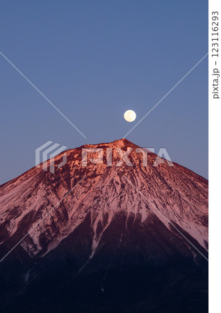 静岡県・パール富士（紅富士） 123116293