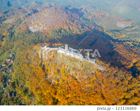 Bezdez medieval castle stands majestically atop a hill, embraced by vibrant autumn colors. The aerial perspective showcases the rich landscape and historical architecture in this scenic view. Bezdez medieval castle stands majestically atop a hill, embraced by vibrant autumn colors. The aerial perspective showcases the rich landscape and historical architecture in this scenic view. 123116860