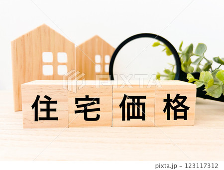 住宅価格と家のミニチュア 123117312