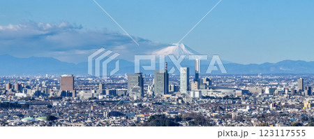 空撮「埼玉県」さいたま新都心と富士山の風景　さいたま市 123117555