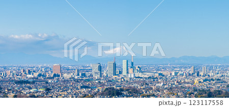 空撮「埼玉県」さいたま新都心と富士山の風景　さいたま市 123117558