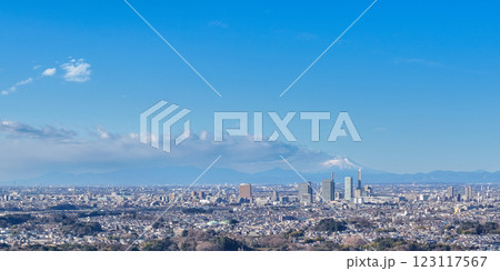 空撮「埼玉県」さいたま新都心と富士山の風景　さいたま市 123117567