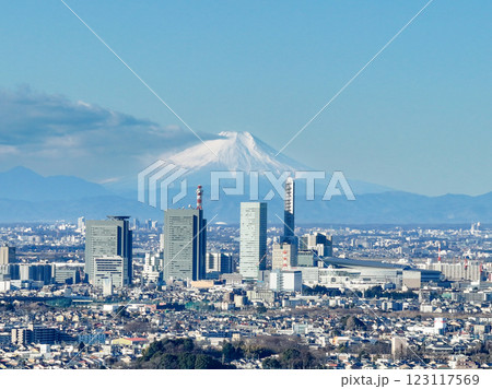 空撮「埼玉県」さいたま新都心と富士山の風景　さいたま市 123117569