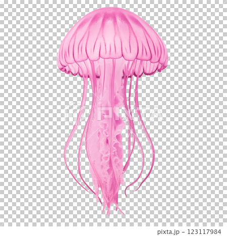 A pink jellyfish with long tentacles on a white background 123117984
