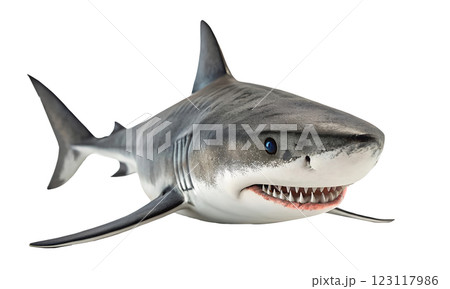 A remarkable shark with a striking blue eye is set against a transparent background 123117986