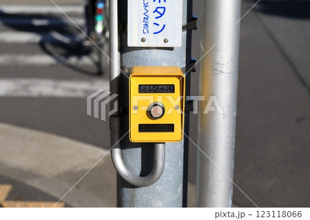 歩行者用押しボタン 123118066