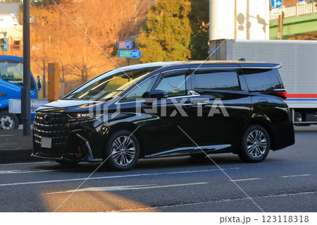 高級ミニバン 123118318