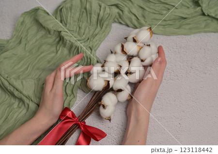 Woman's hands touching branch of cotton inflorescence plant with red silk bow on a white textured background. Green cloth. Spring. Compliment for Women's Day 8 March Woman's hands touching branch of cotton inflorescence plant with red silk bow on a white textured background. Green cloth. Spring. Compliment for Women's Day 8 March 123118442