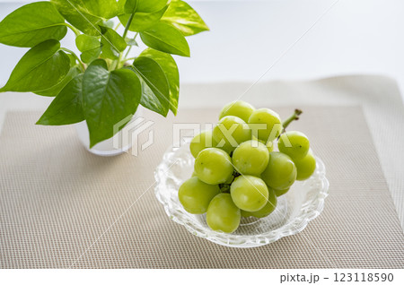 ぶどうの王様シャインマスカット 123118590