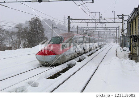 雪の秋田新幹線　こまち　e6系　角館駅　　秋田県 123119002