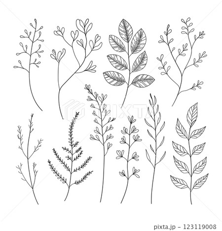 A refined collection of hand-drawn botanical elements, including leaves and small branches. Ideal for branding, packaging, wedding invitations, and elegant compositions. 123119008