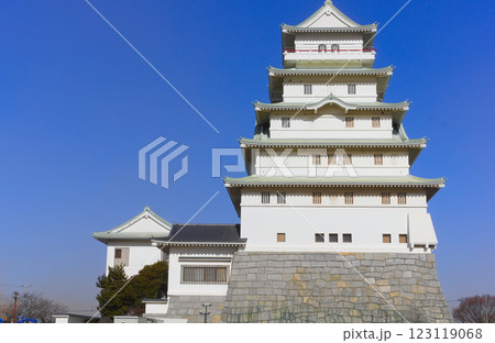 茨城県常総市地域交流センター周辺2025年2月 123119068