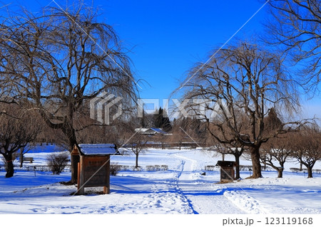 史跡 根城の広場　本丸跡の復元　日本100名城《青森》 123119168