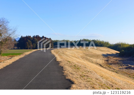 茨城県常総市鬼怒川サイクリングロード沿線2025年2月 茨城県常総市鬼怒川サイクリングロード沿線2025年2月 123119216