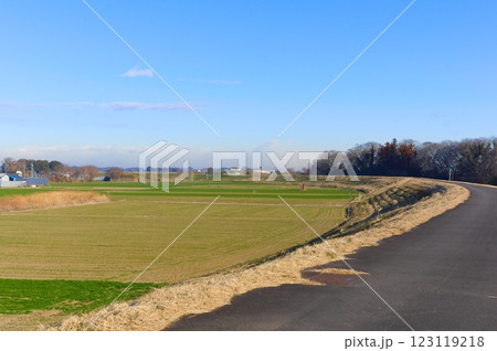 茨城県常総市鬼怒川サイクリングロード沿線2025年2月 123119218