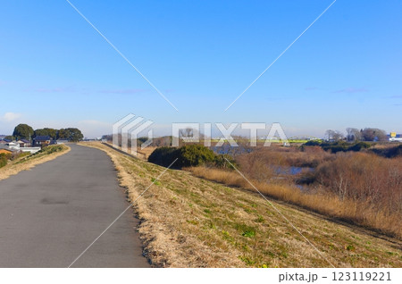 茨城県常総市鬼怒川サイクリングロード沿線2025年2月 123119221