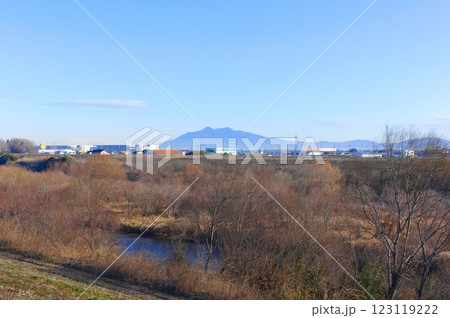 茨城県常総市鬼怒川サイクリングロード沿線2025年2月 123119222