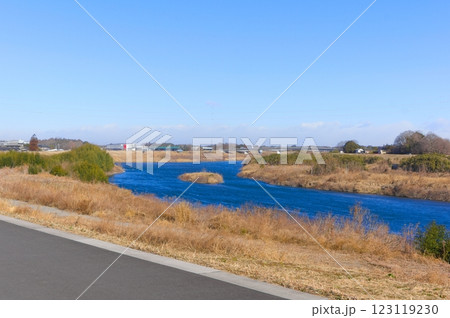 茨城県常総市鬼怒川サイクリングロード沿線2025年2月 茨城県常総市鬼怒川サイクリングロード沿線2025年2月 123119230