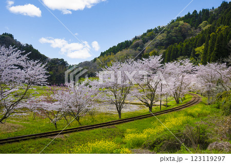 春の撮り鉄名所いすみ鉄道東総元 123119297