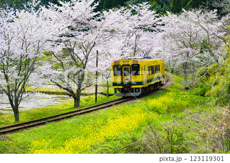 春の撮り鉄名所いすみ鉄道東総元 123119301