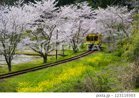 春の撮り鉄名所いすみ鉄道東総元 春の撮り鉄名所いすみ鉄道東総元 123119303