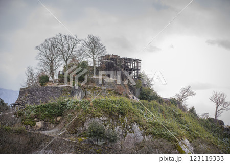 岐阜県中津川市　冬の苗木城 123119333