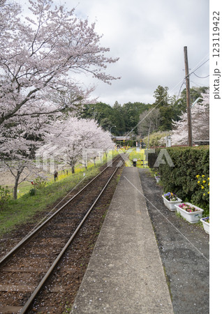 春のいすみ鉄道総元駅 春のいすみ鉄道総元駅 123119422