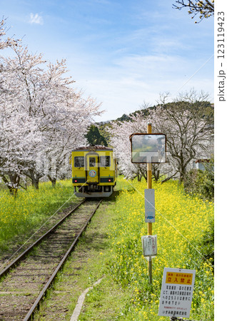 春のいすみ鉄道総元駅 123119423