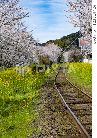 春のいすみ鉄道総元駅 春のいすみ鉄道総元駅 123119426
