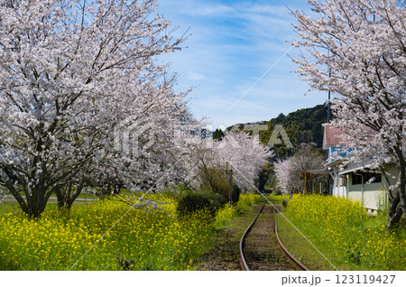 春のいすみ鉄道総元駅 春のいすみ鉄道総元駅 123119427
