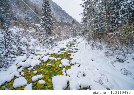 長野県南木曽町 冬の柿其渓谷の景色 長野県南木曽町 冬の柿其渓谷の景色 123119459