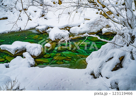 長野県南木曽町 冬の柿其渓谷の景色 長野県南木曽町 冬の柿其渓谷の景色 123119466