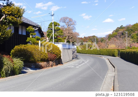 千葉県松戸市21世紀の森と広場周辺2025年2月 123119508