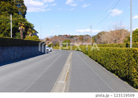 千葉県松戸市21世紀の森と広場周辺2025年2月 123119509