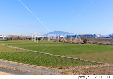 茨城県常総市鬼怒川越しに見える筑波山2025年2月 123119513