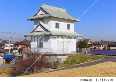 茨城県常総市鬼怒川沿いのお城2025年2月 茨城県常総市鬼怒川沿いのお城2025年2月 123119516