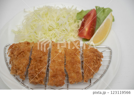 とんかつ盛り付け とんかつ盛り付け 123119566