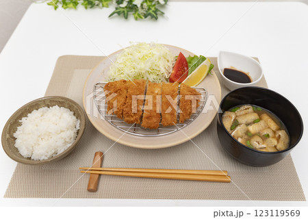 とんかつ盛り付け とんかつ盛り付け 123119569