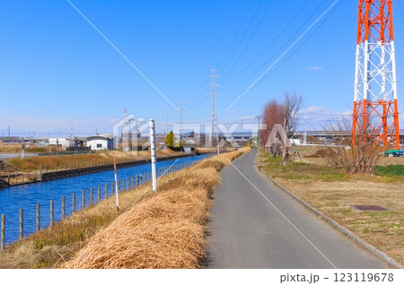 千葉県松戸市矢切坂川2025年2月 123119678