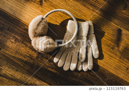 冬小物の静物 冬小物の静物 123119763