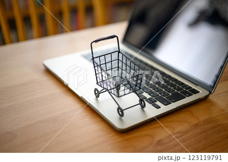 カートとPC カートとPC 123119791