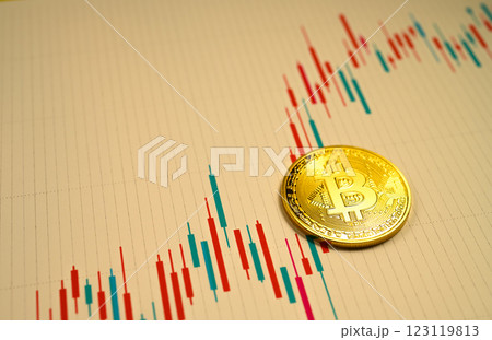 ビットコインとチャート 123119813