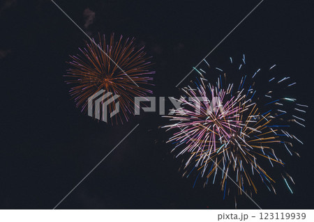 伊豆の花火大会 123119939