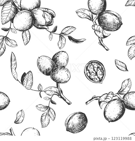 Seamless pattern of walnut branches. Vector background with kernels, leaves and nut skin. Engraving style illustration. Design for packaging, wallpaper, kitchen textile. Hand drawn ink sketch. 123119988