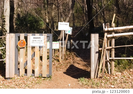 千葉県鎌ケ谷市粟野の森2025年2月 千葉県鎌ケ谷市粟野の森2025年2月 123120003