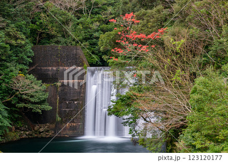 屋久島洋上アルプス　治山ダム(1月) 123120177